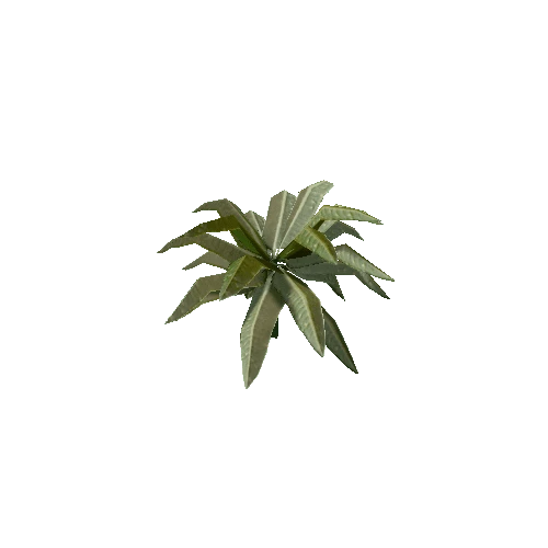 Tropical Plant 3 (Type 1)